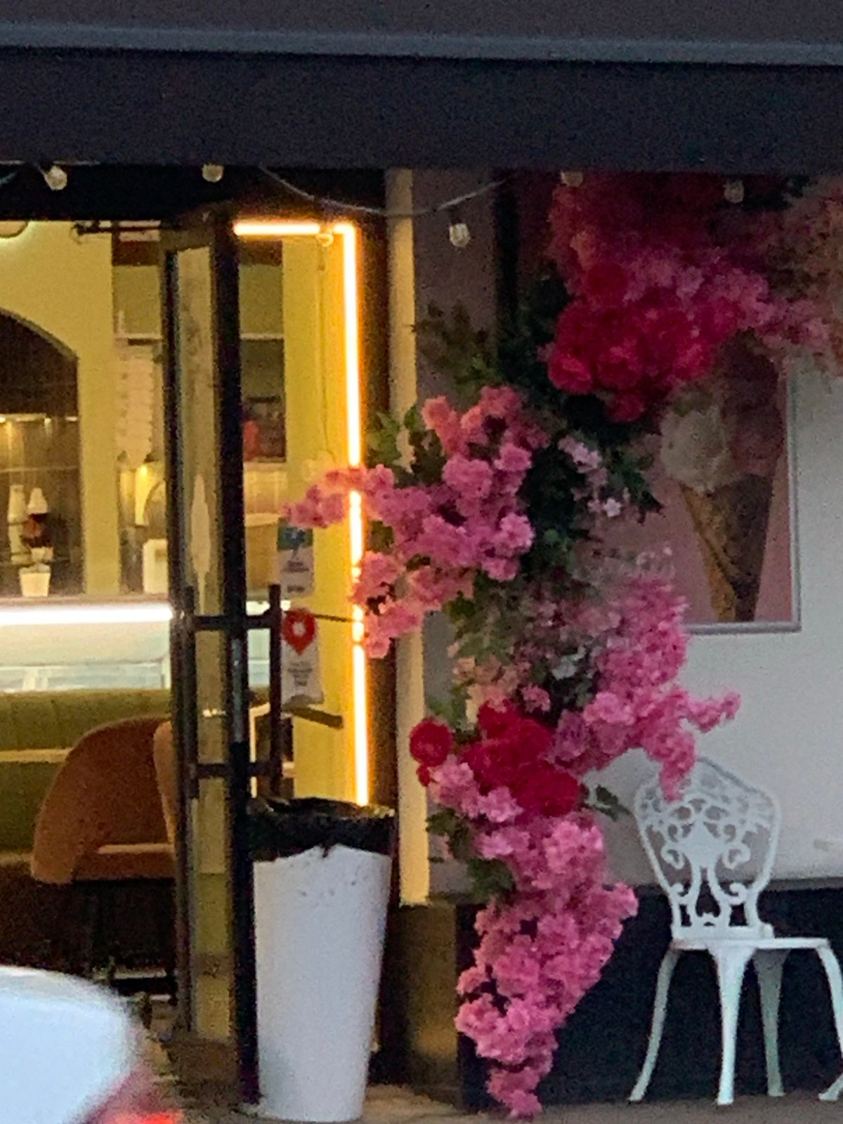 Evening stroll through a lit-up city with flowers and trams
