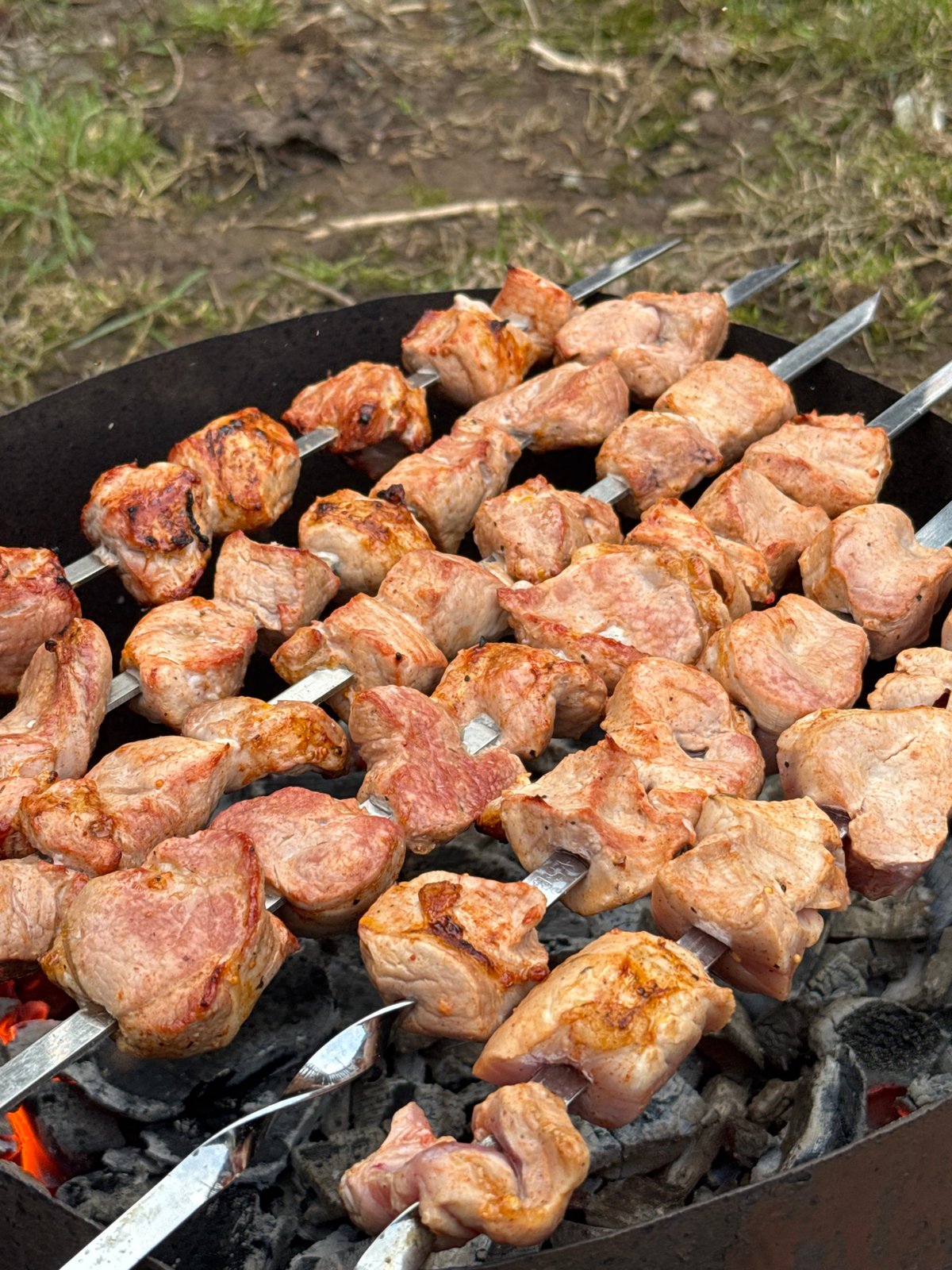 Outdoor grilling session documented in Бородулино, Russia