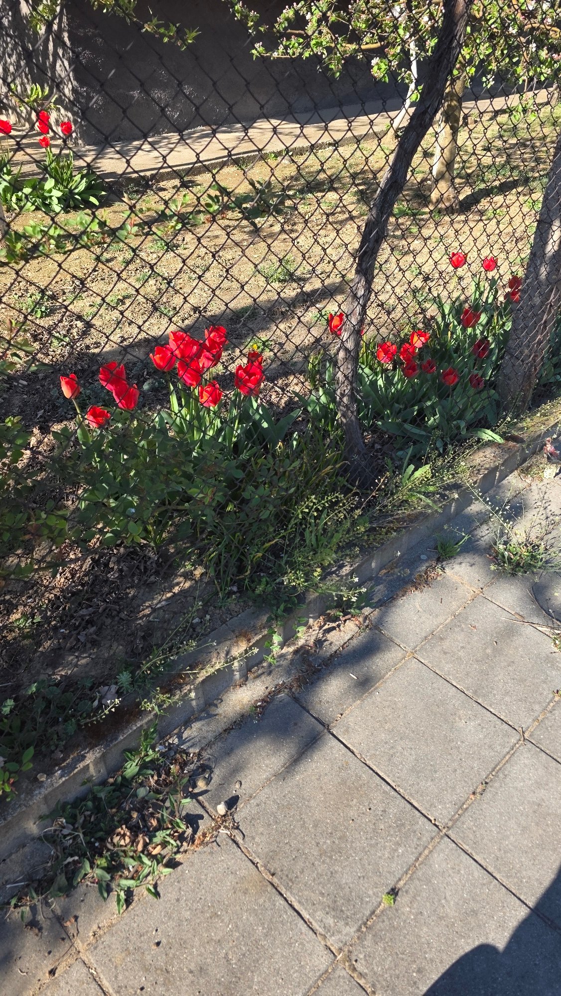 Spring afternoon walkabout captured in Blagoevgrad, Bulgaria