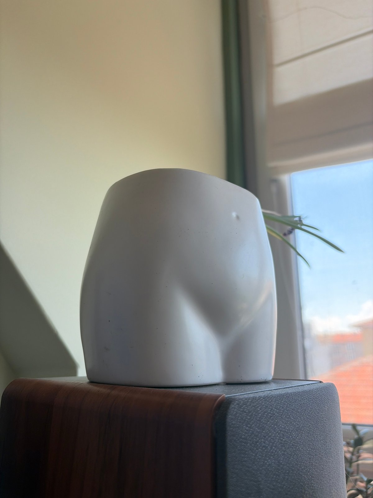 Anatomical white planter with plant spotted on speaker