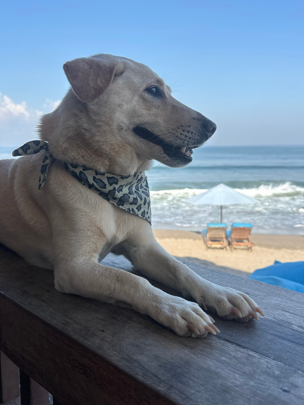 Lazy afternoon scenes along North Kuta's beachside strip
