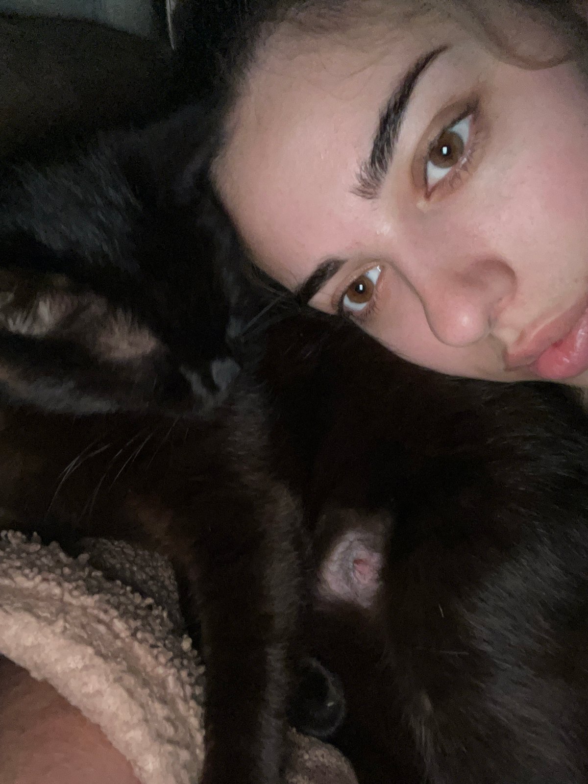 Close moment with a black cat in Velykyi Bychkiv