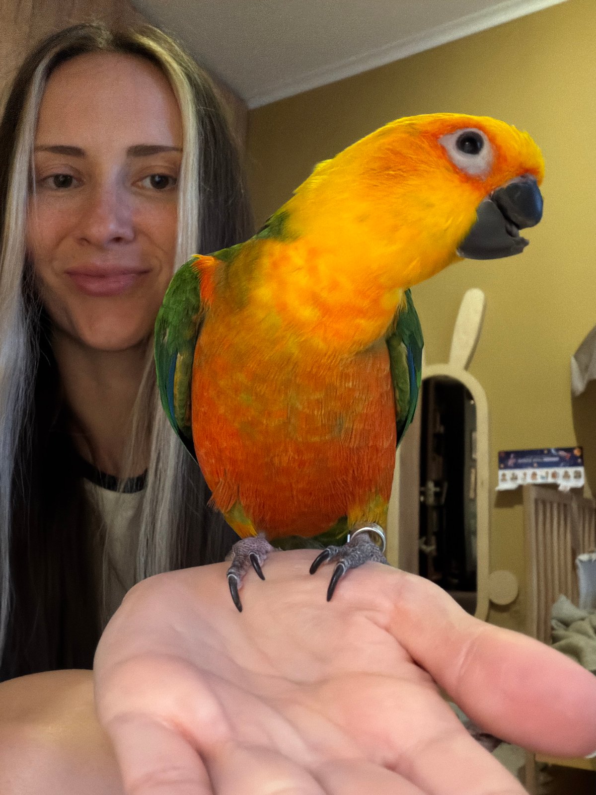 Woman interacts with Sun Conure parrot indoors in Khimki