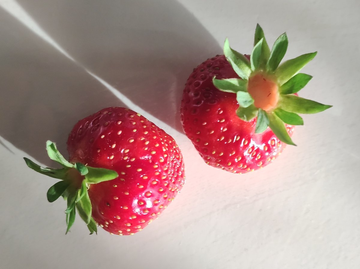Lazy summer afternoon in Фоки — selfies, strawberries, and sunshine