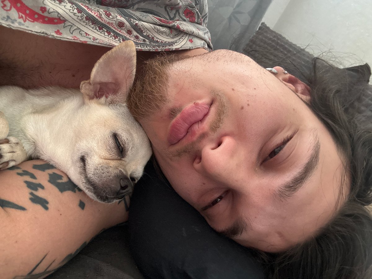 Man and Chihuahua Share Morning Cuddle in Sofia