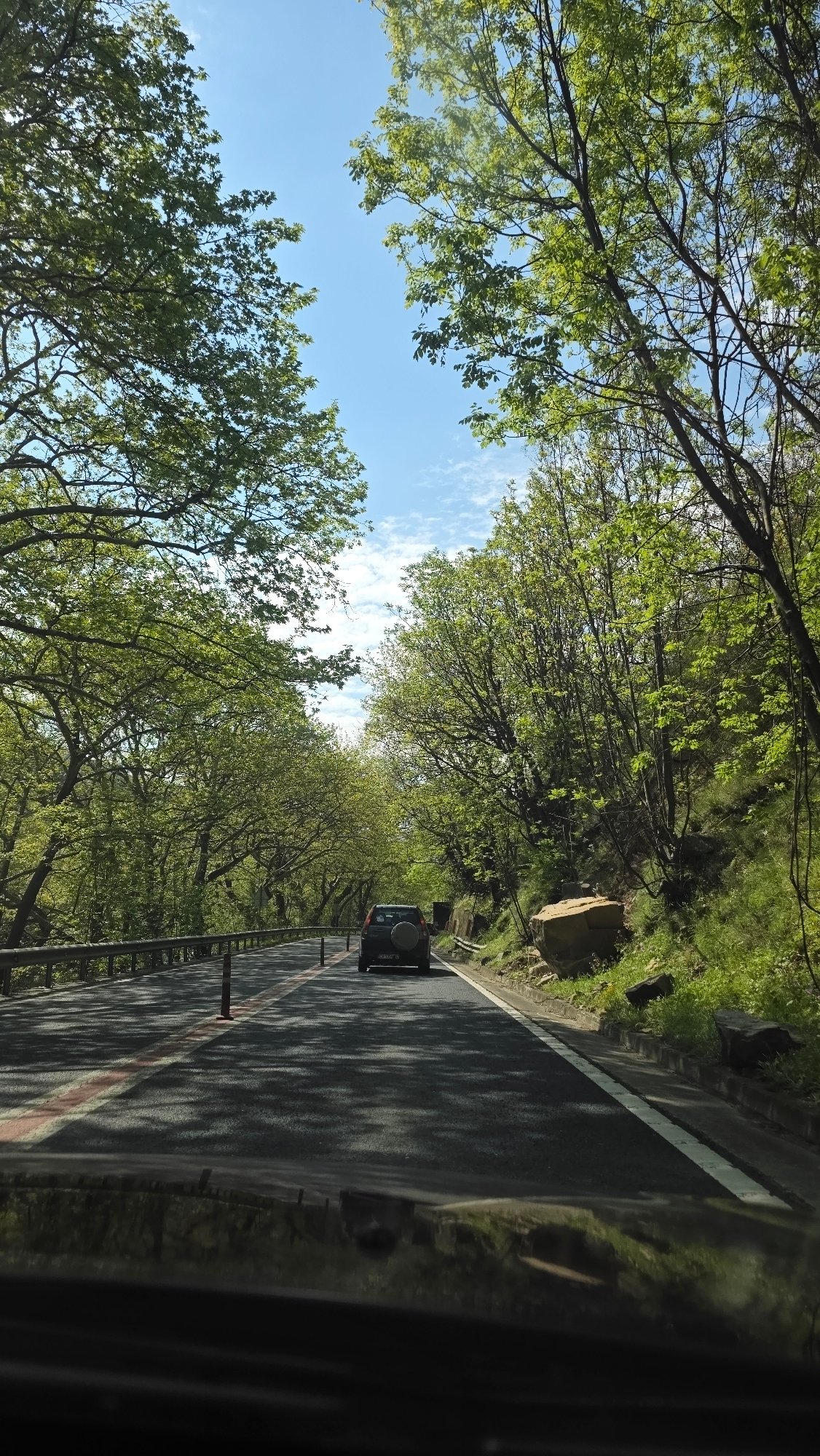 Vehicle passes through tree-canopied road in Stara Kresna, Bulgaria