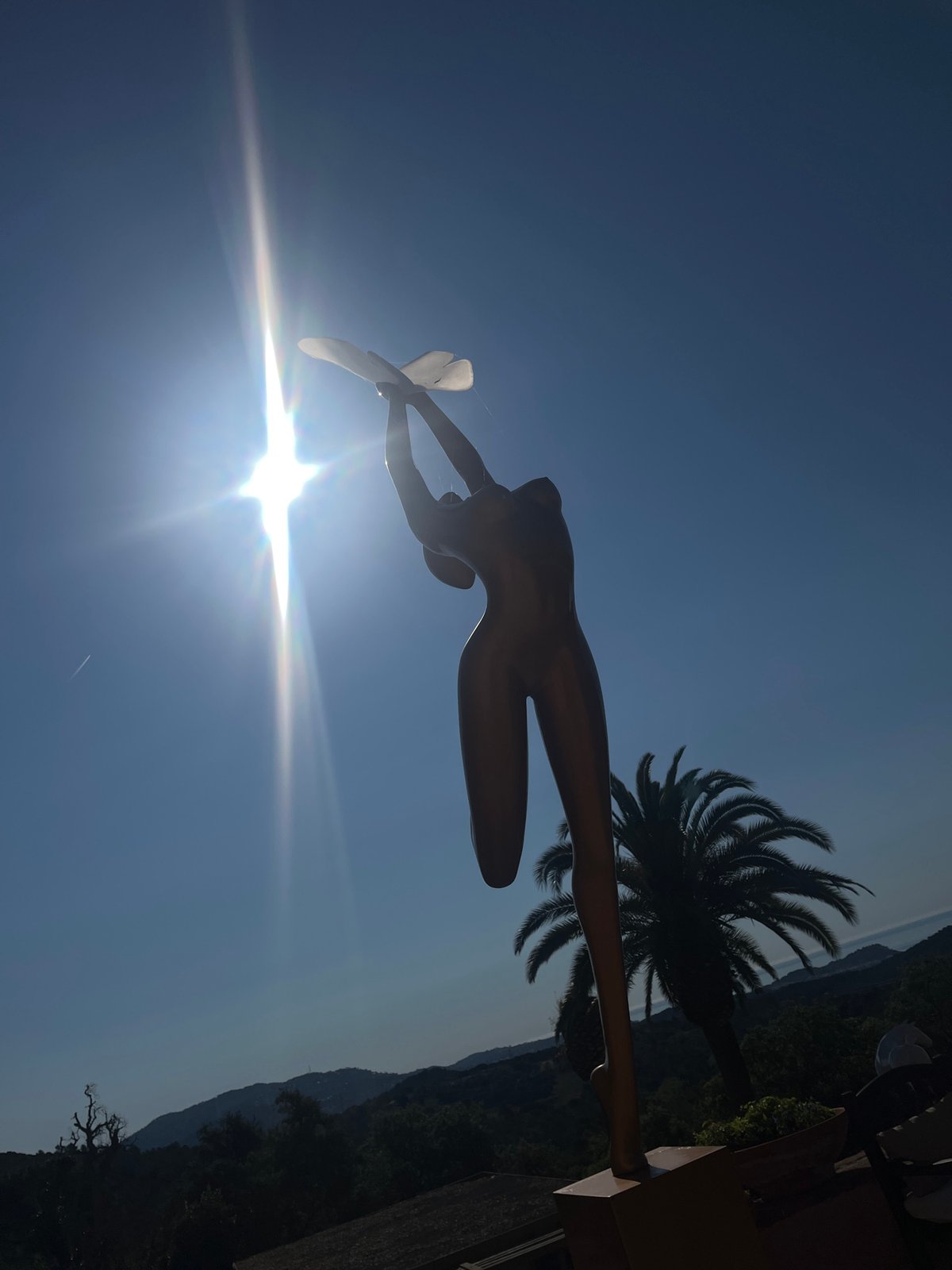 Urban monuments and architectural statues documented in city setting