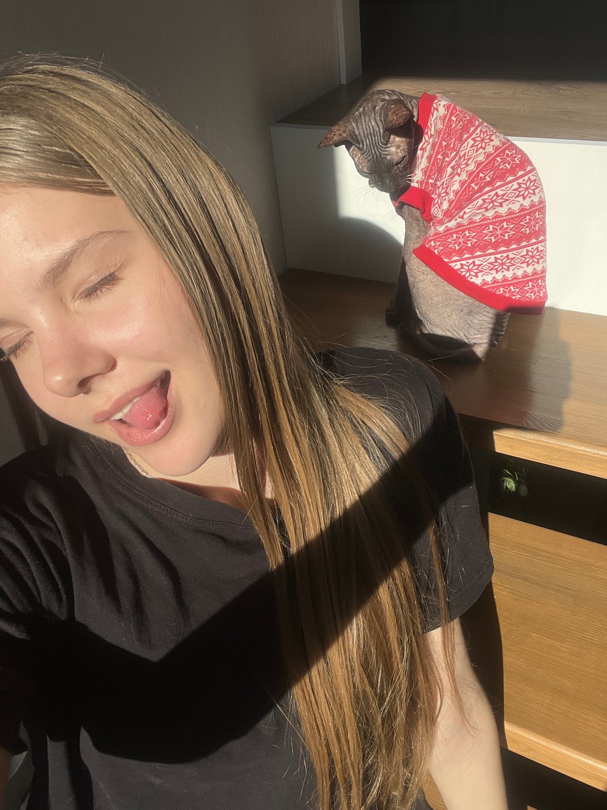 Votkinsk resident shares quiet moments with sweater-wearing Sphynx cat