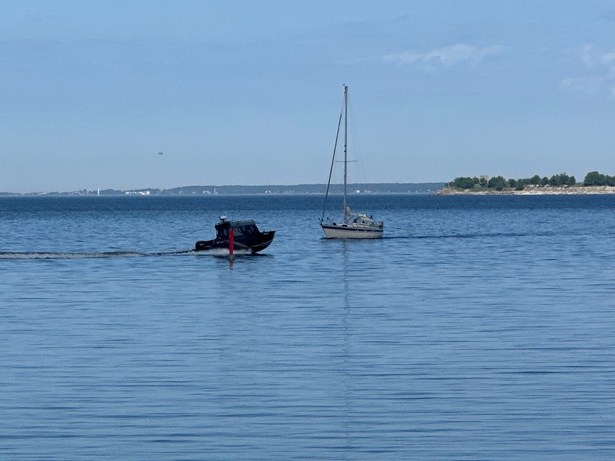 Summer scenes documented across Tallinn's waterfront and wildflower areas