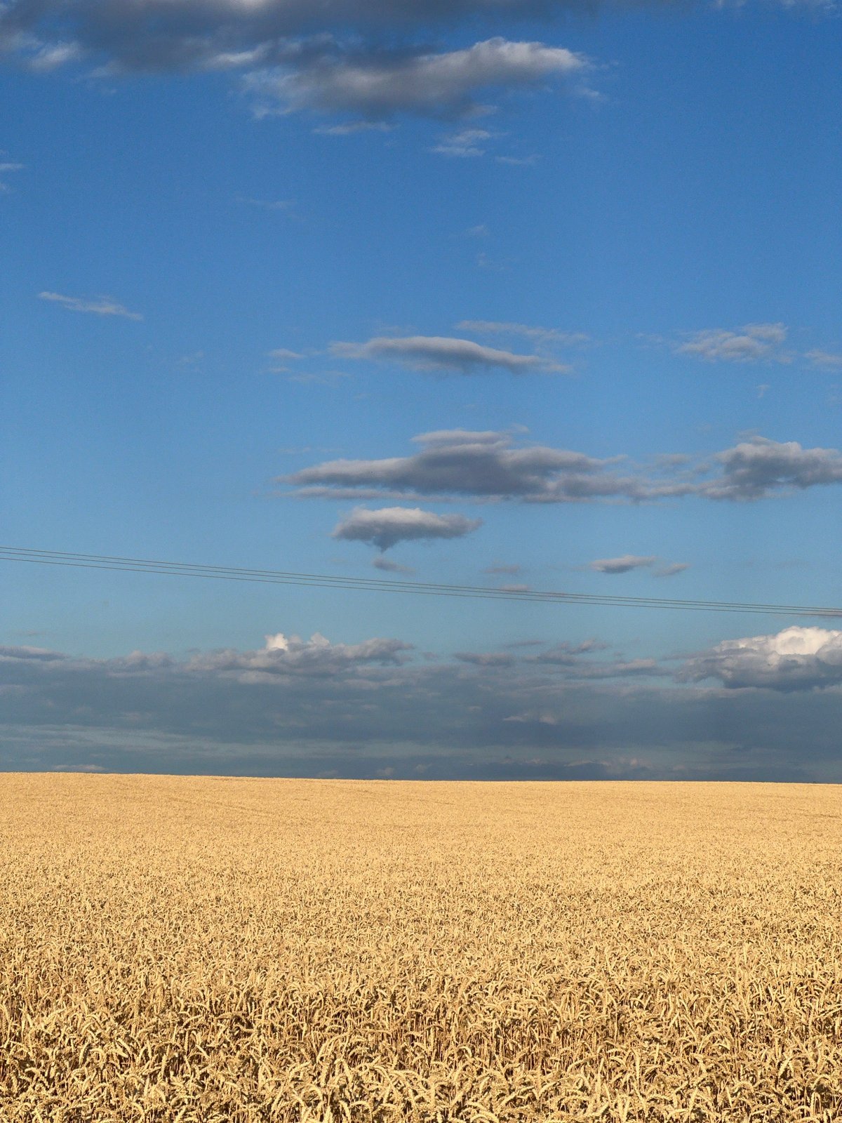 Harvest season across the fields and backroads of South Moravia