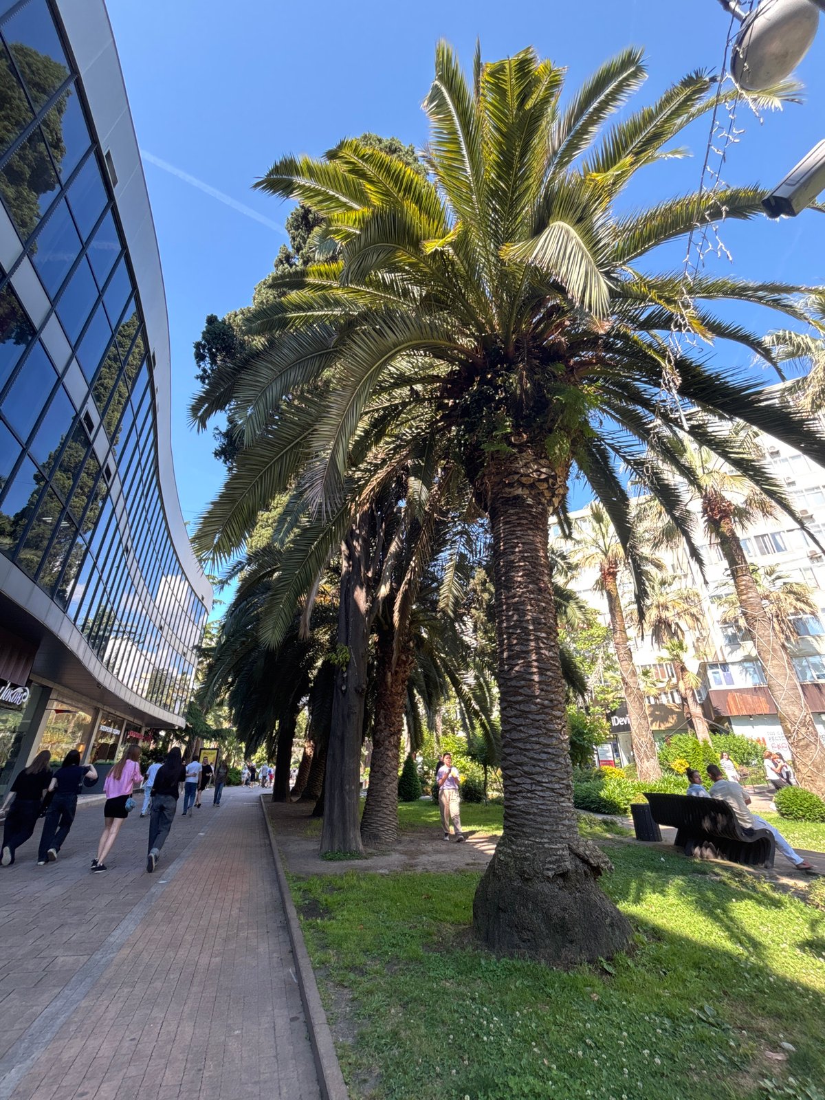 Summer afternoon walk through Sochi's gardens and promenades