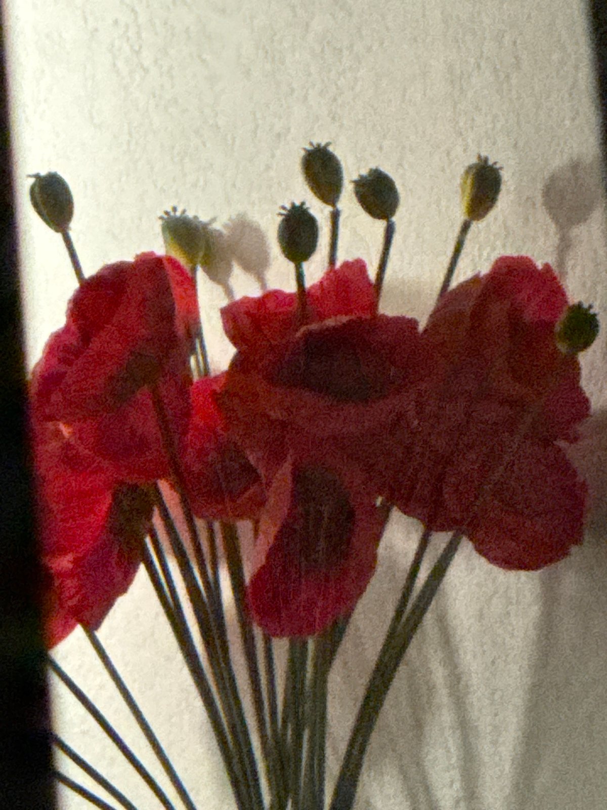 Evening scenes captured across Nice include flowers, transit, bicycles