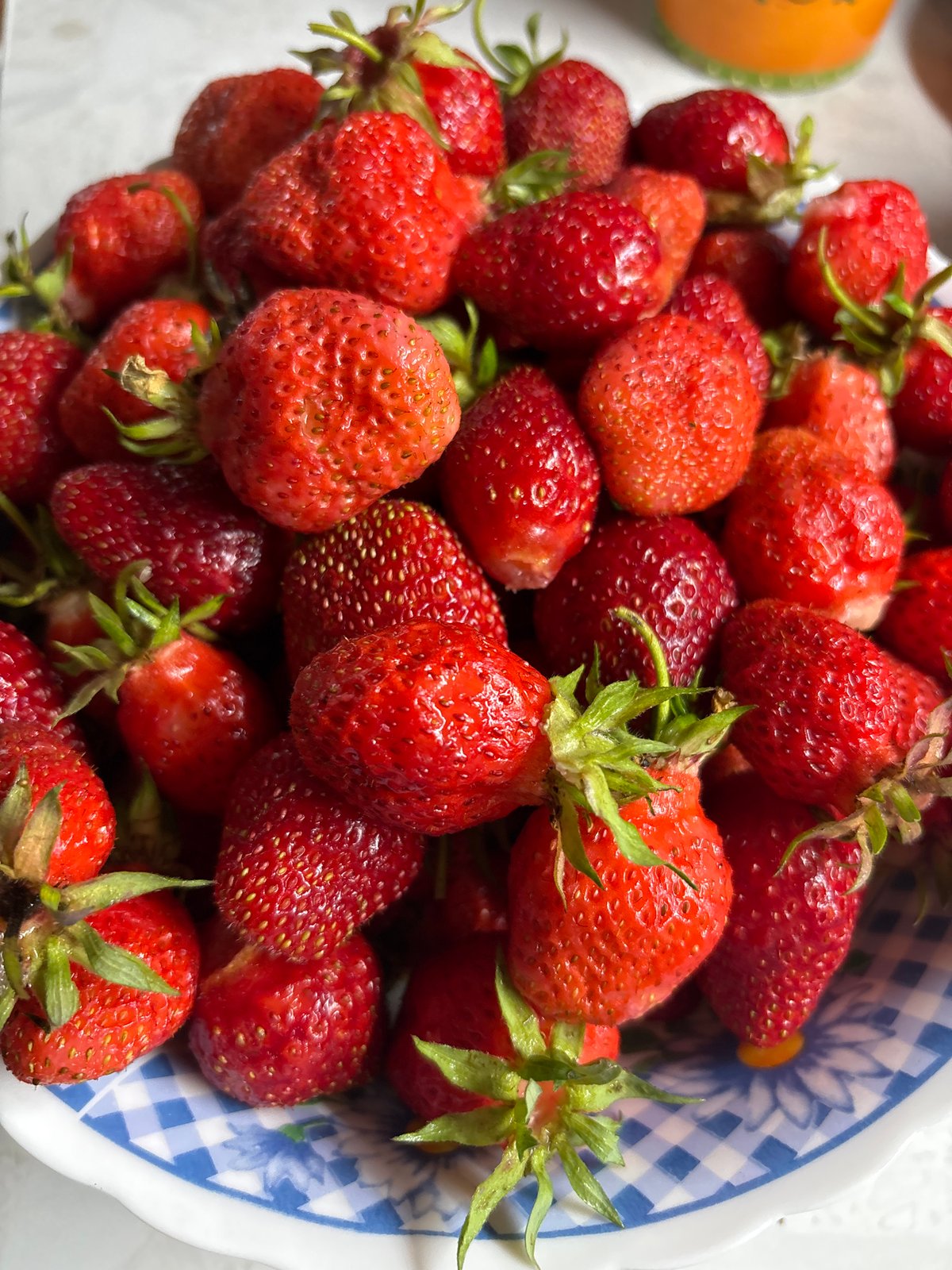 Fresh strawberries in a checkered bowl, Kordovo Russia