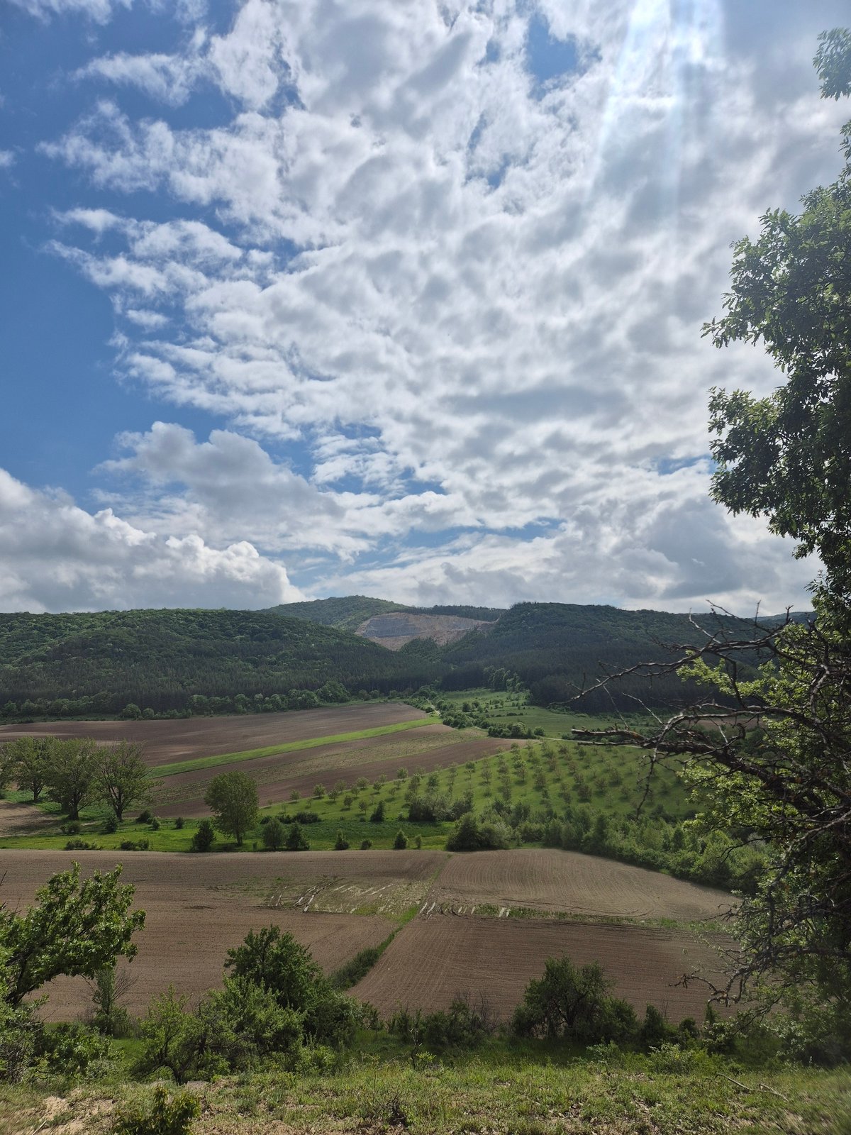 Rural landscapes documented near Kralevo, Bulgaria countryside