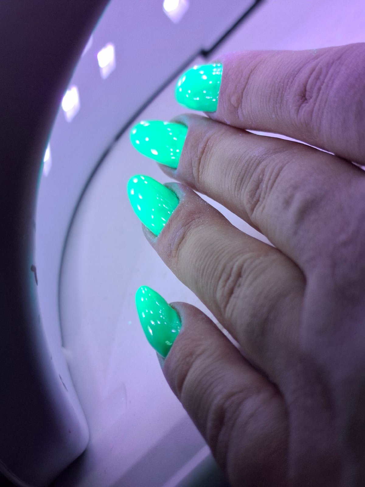 Manicure session and playful cat documented in Novi Sad