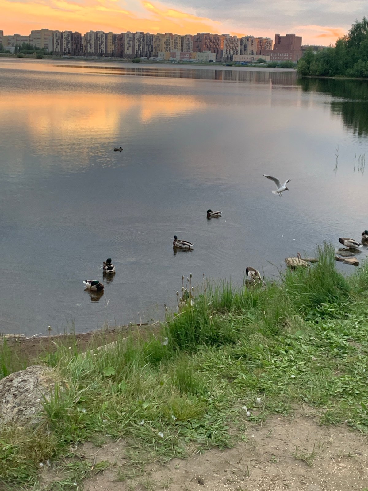 Sunset waterfront scene captured in Severodvinsk, Russia