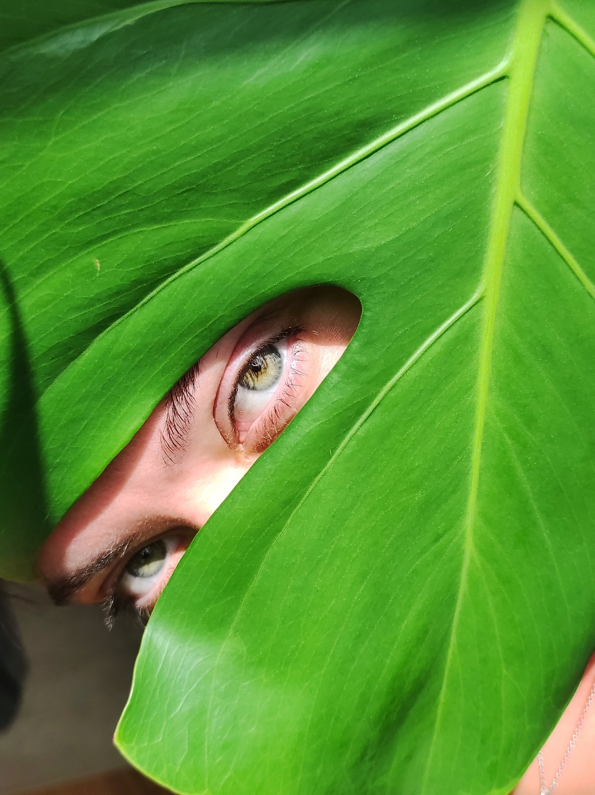 Green eyes behind green leaves — a portrait series with plants