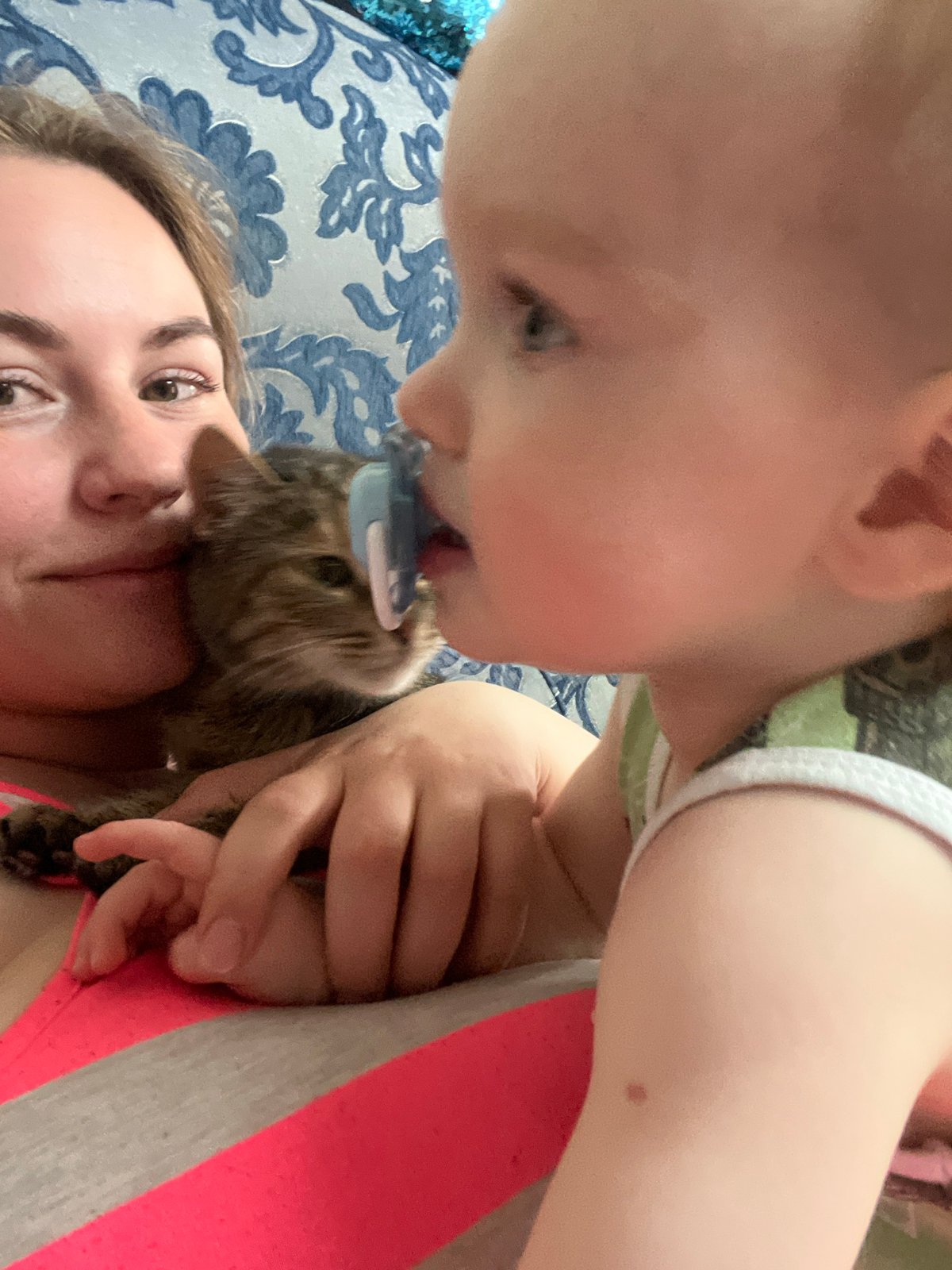 Family moments with baby, cats captured in Chaikovsky home