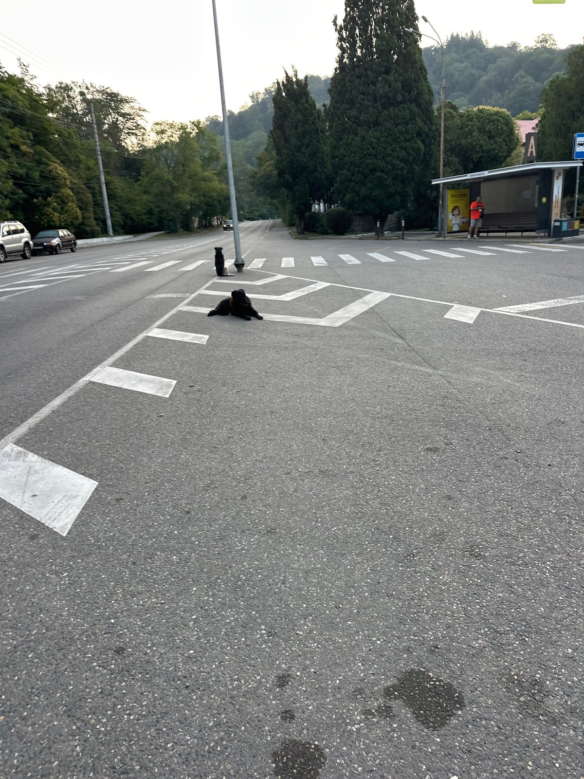 Sochi seafront and city streets, early morning walkthrough