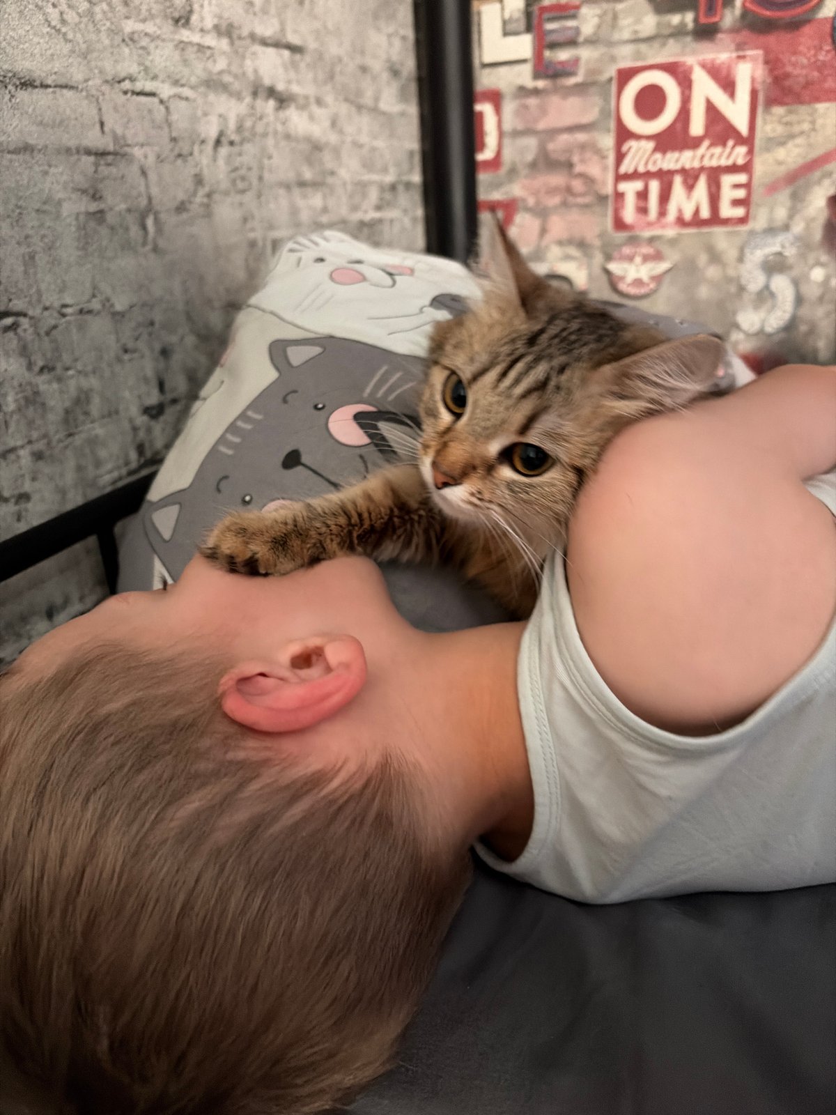 Child and cat share quiet moments in Chaikovsky home