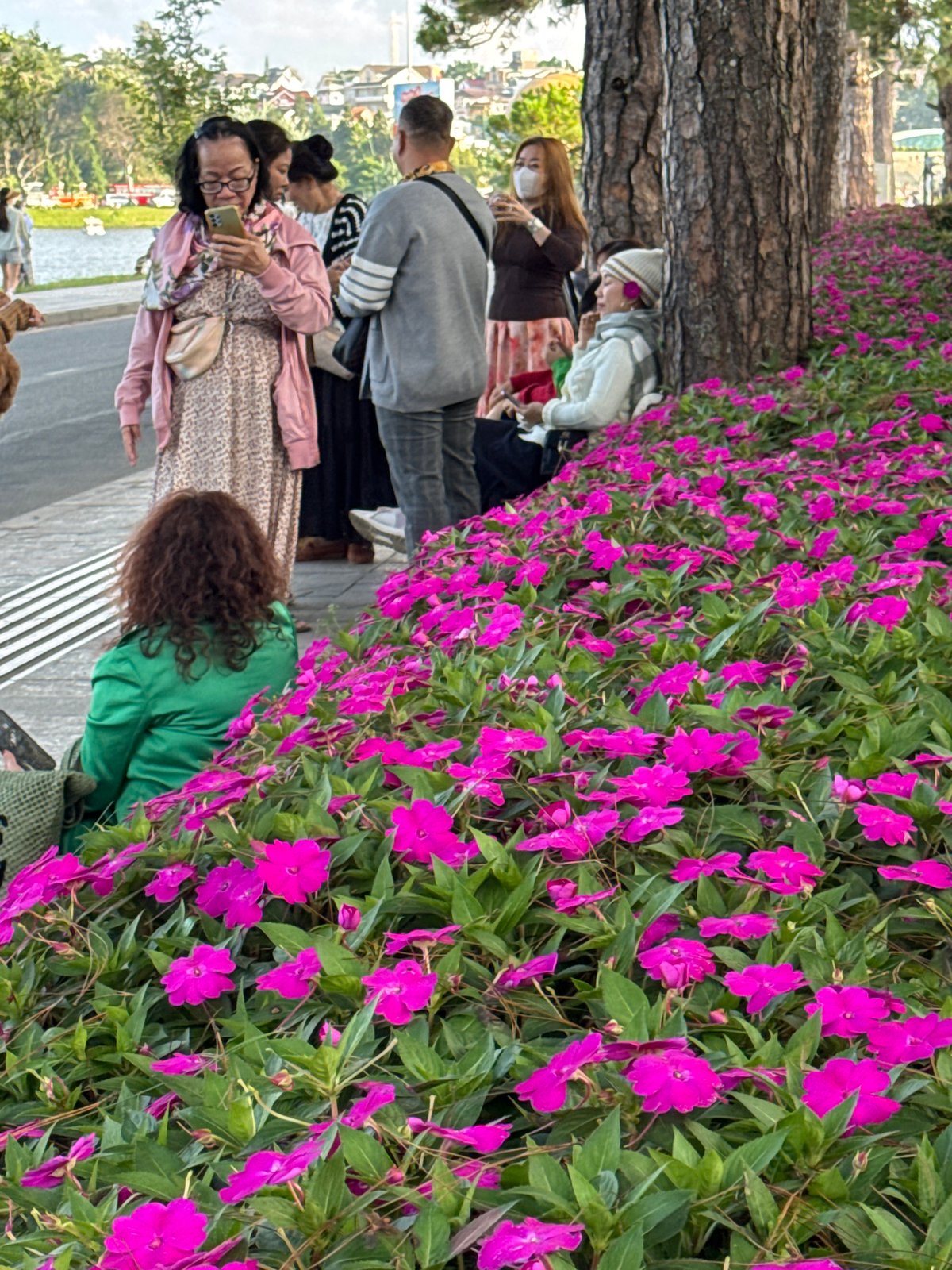 Da Lat's flower-lined streets and Xuan Huong Lake on a busy morning