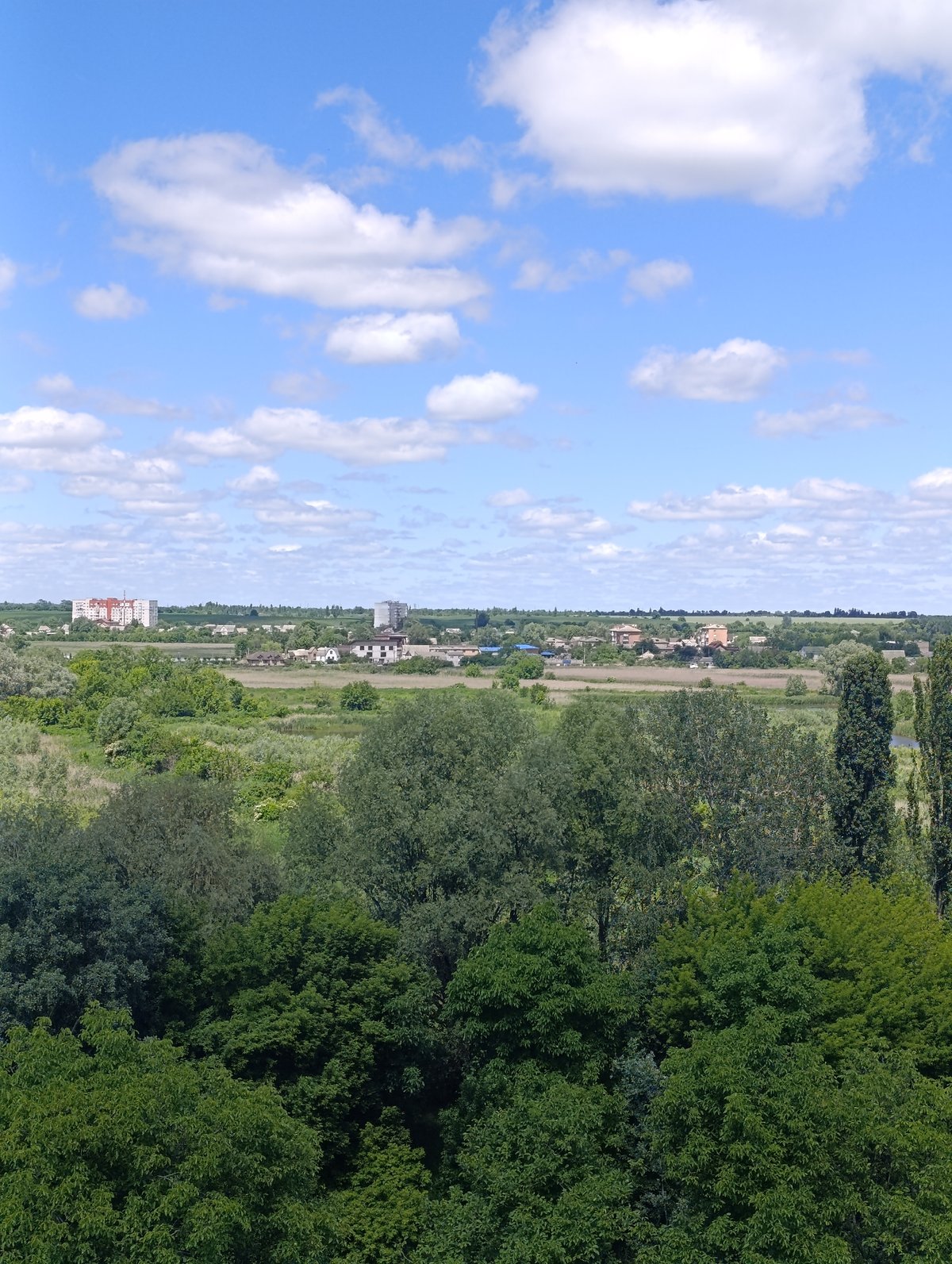 Spring wildflowers and botanical scenes around Bila Tserkva, Ukraine