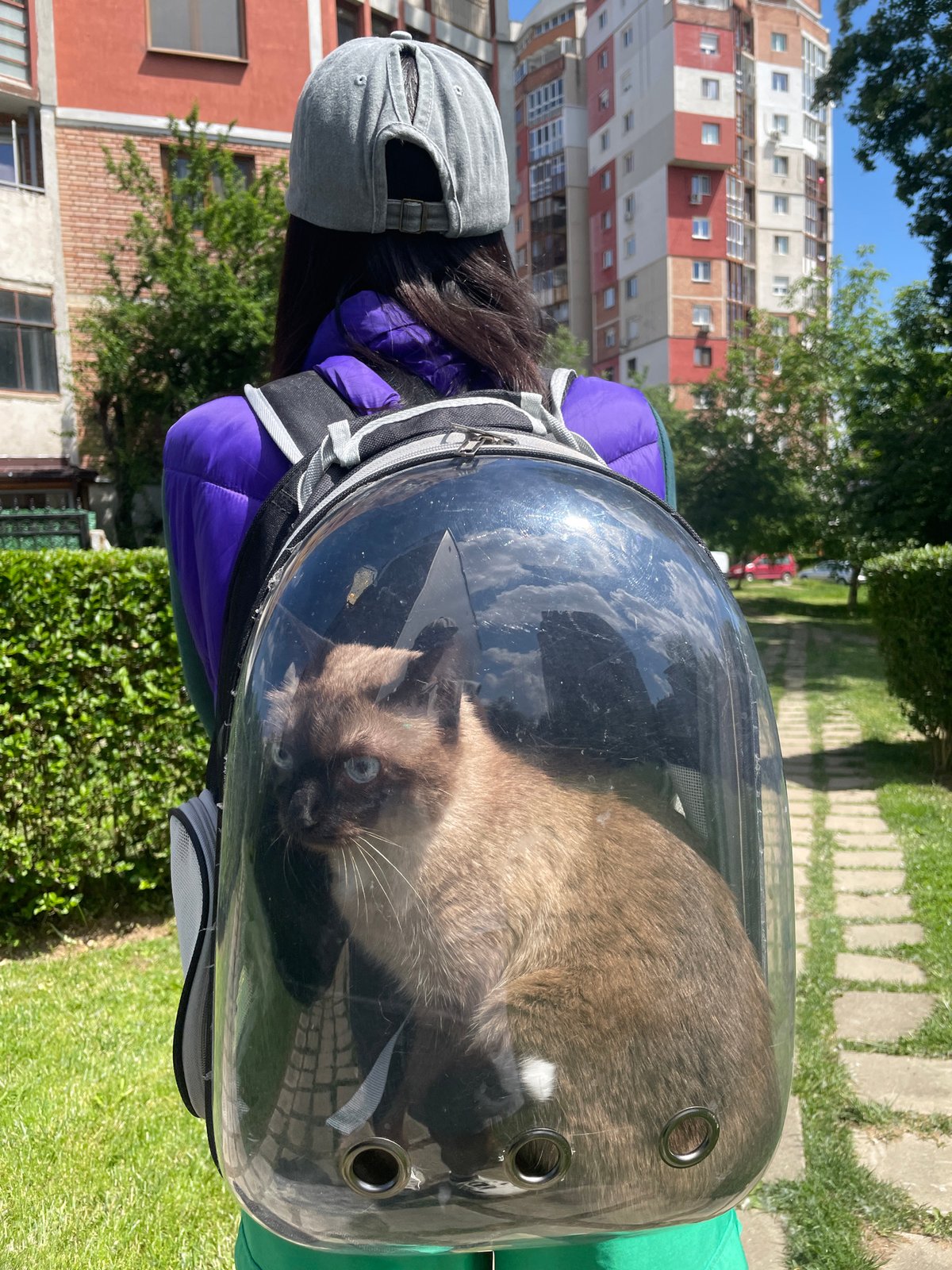 Woman carries Siamese cat in bubble backpack through Sofia