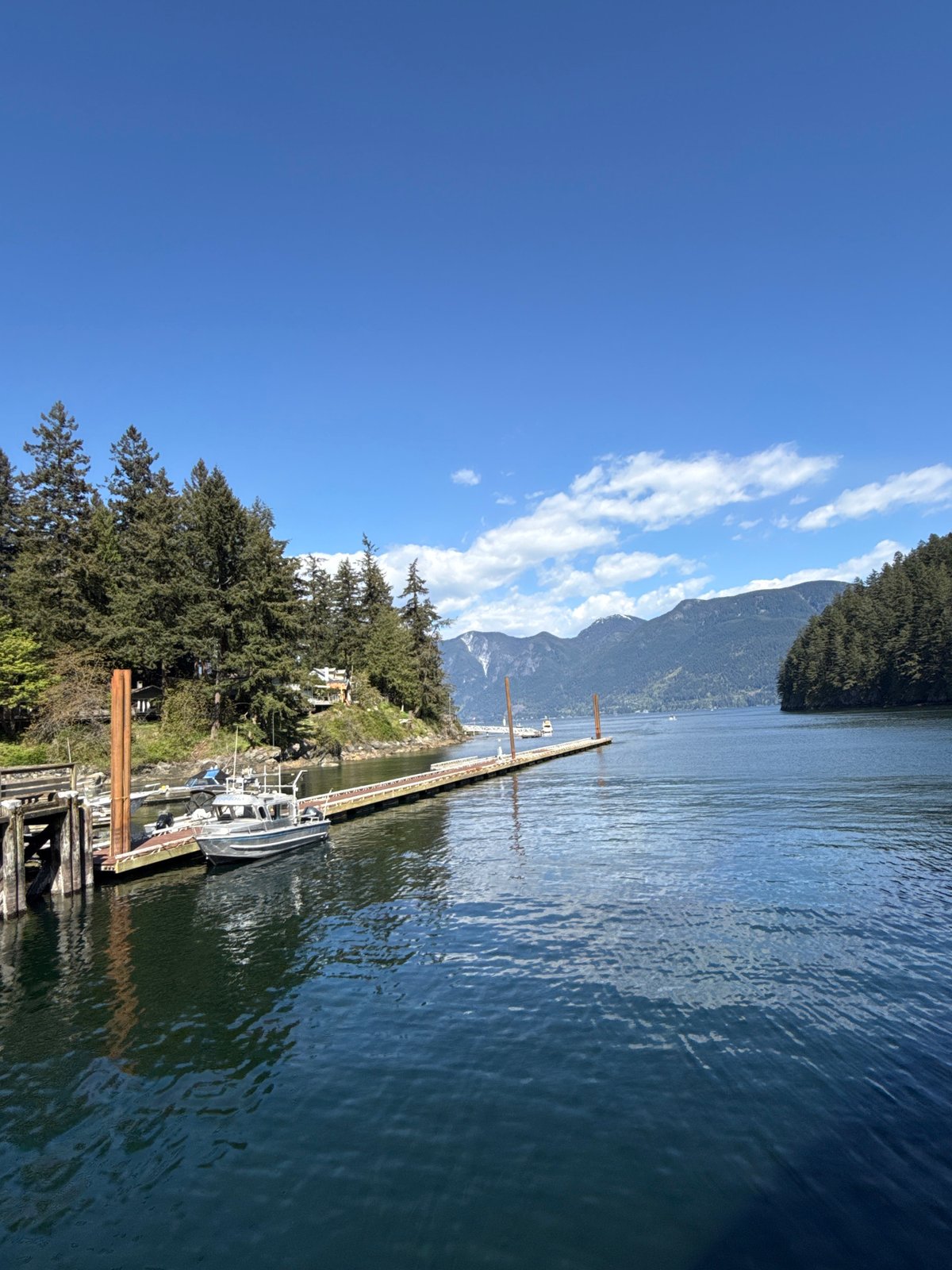 Ferry passengers document last-minute arrival at Bowen Island terminal