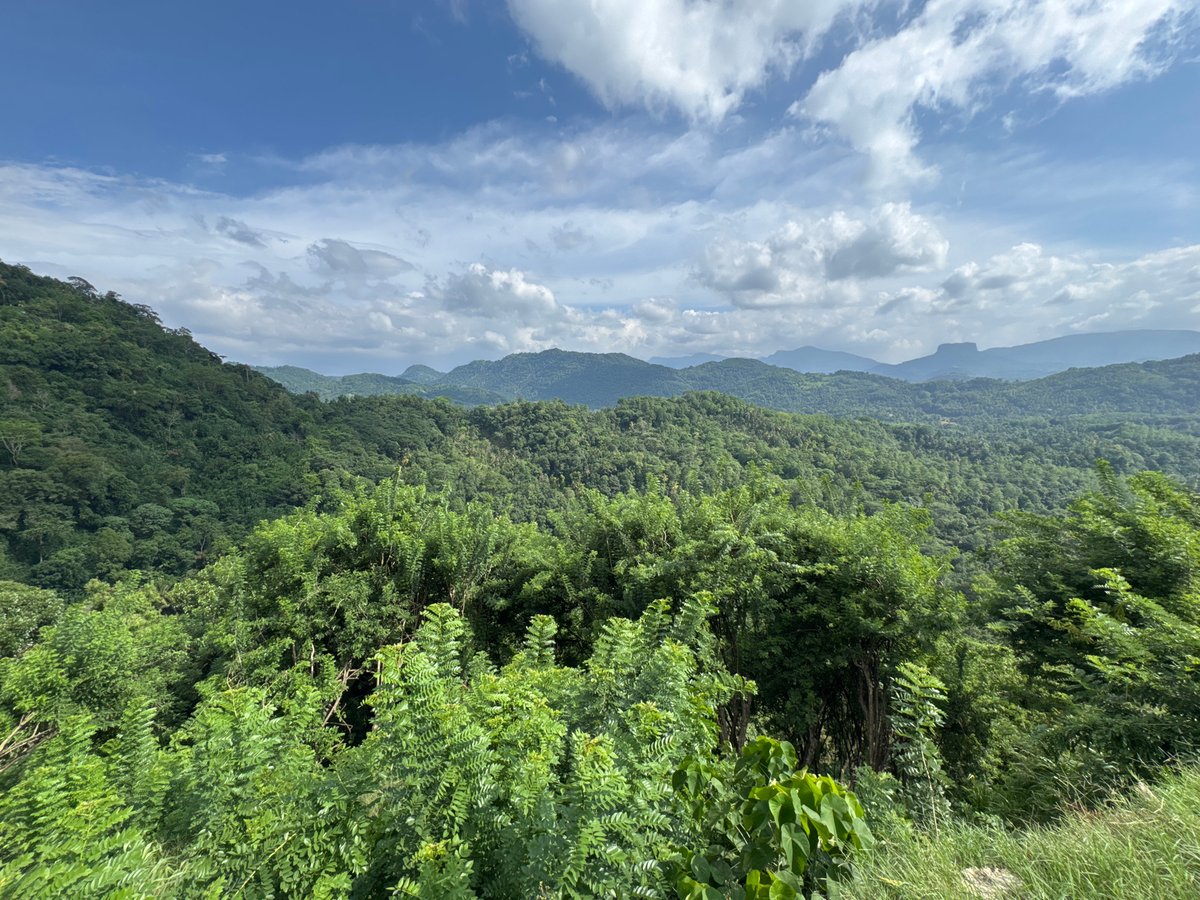 Morning landscape views captured in Sri Lankan hill country