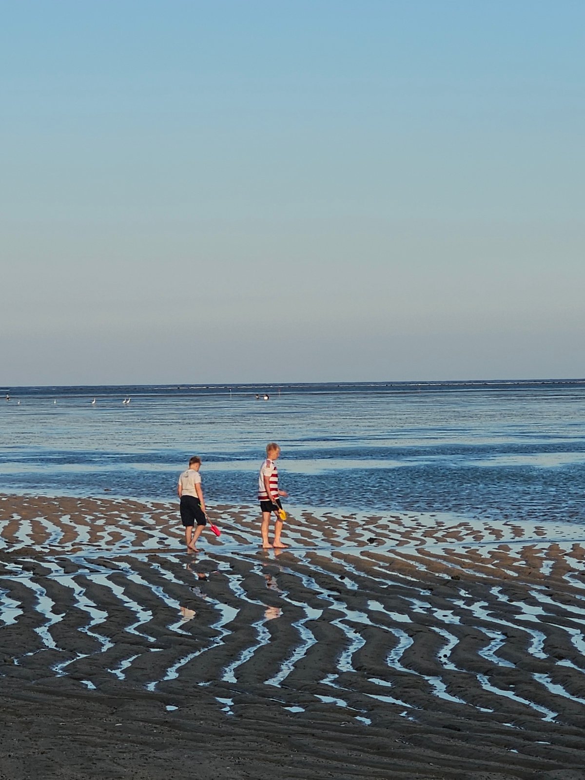 Kites, dogs, and jukung boats on a Bali beach morning
