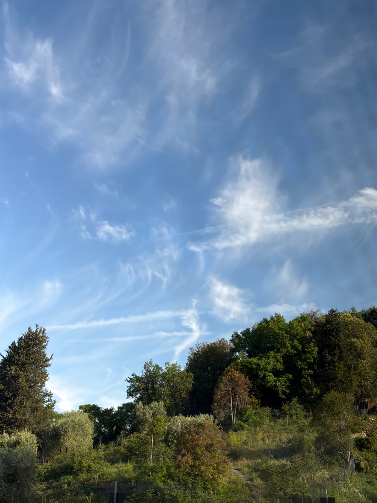 Morning sky with wispy clouds observed in Serravalle Pistoiese