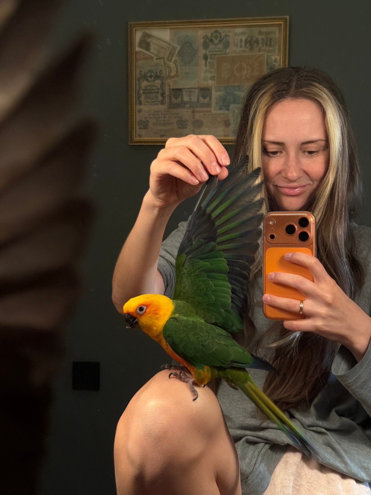 Woman takes selfie, parrot receives gentle petting in Khimki