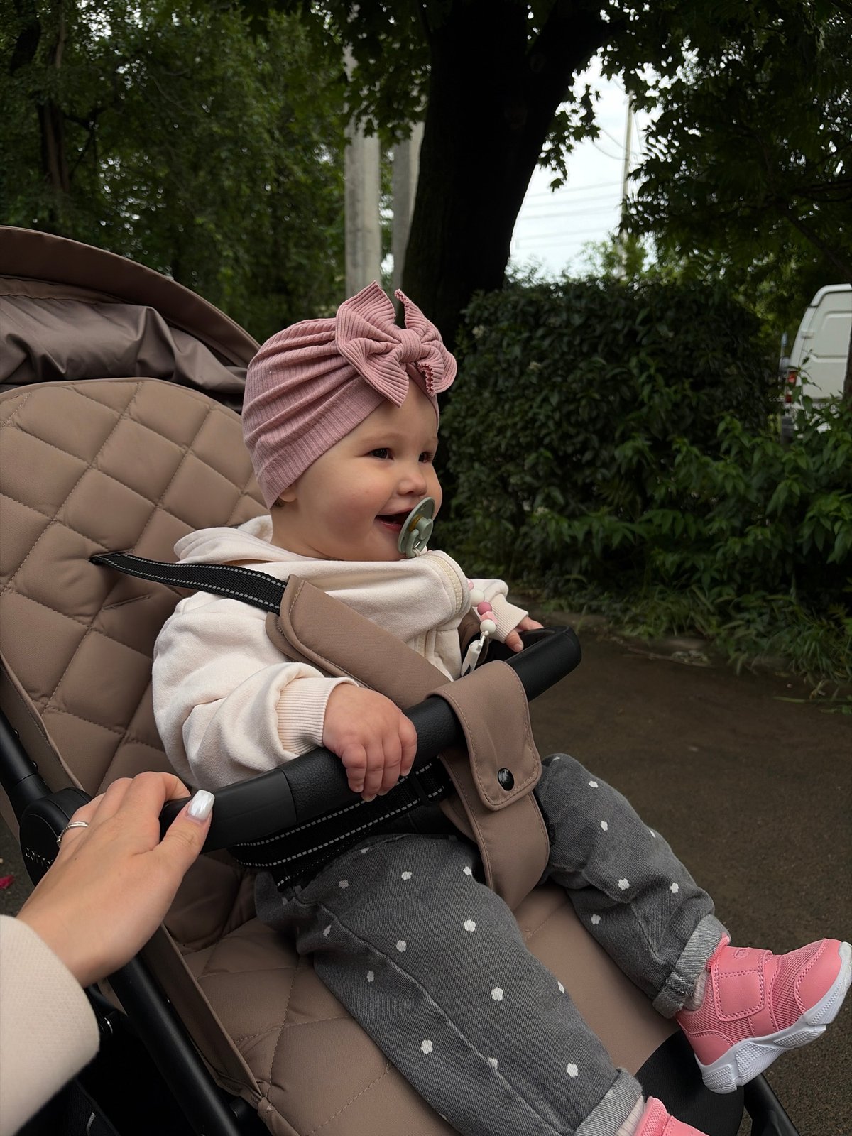 Baby in stroller and climbing roses documented simultaneously