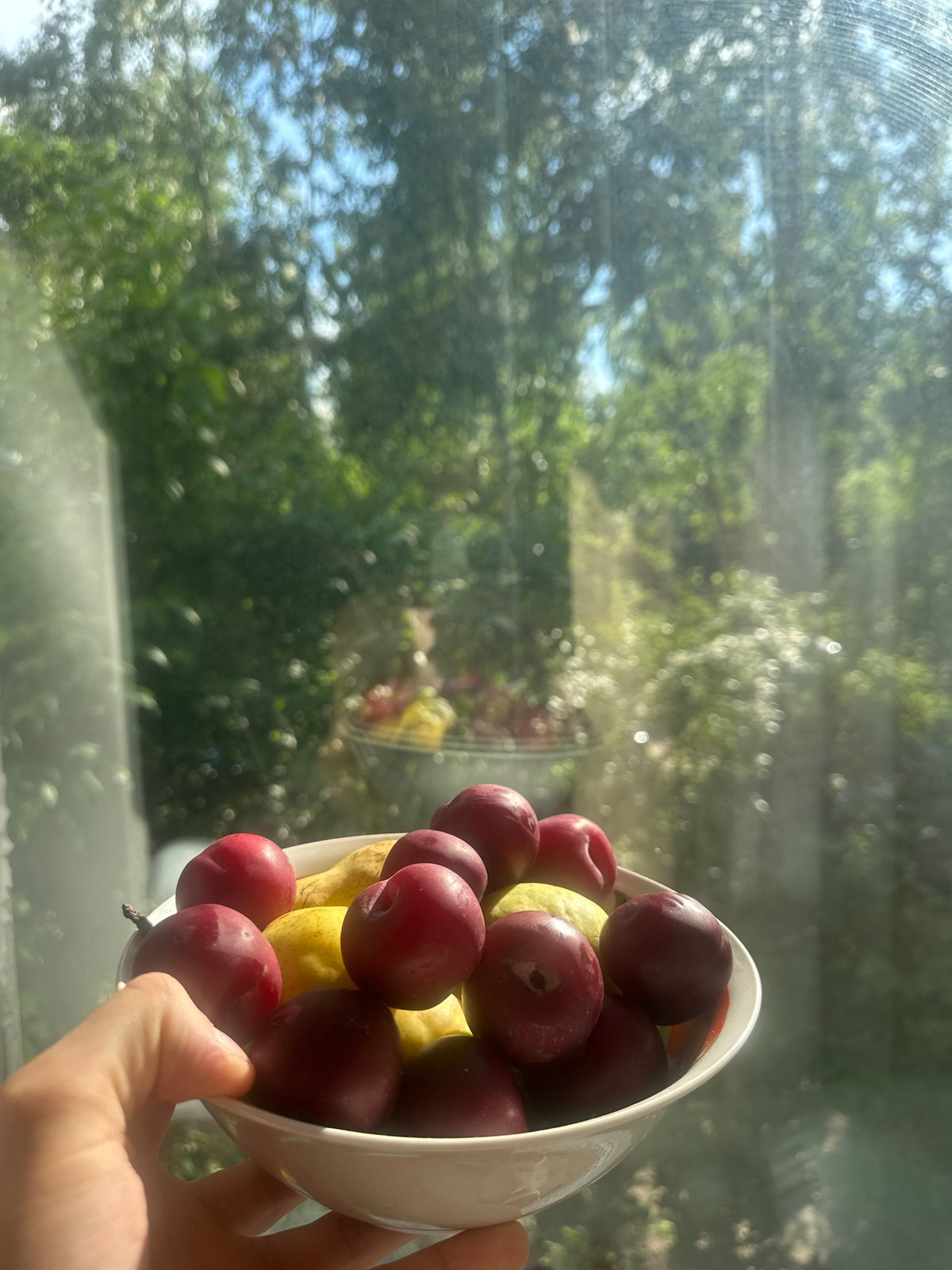 Quiet domestic moments captured simultaneously in Vologda