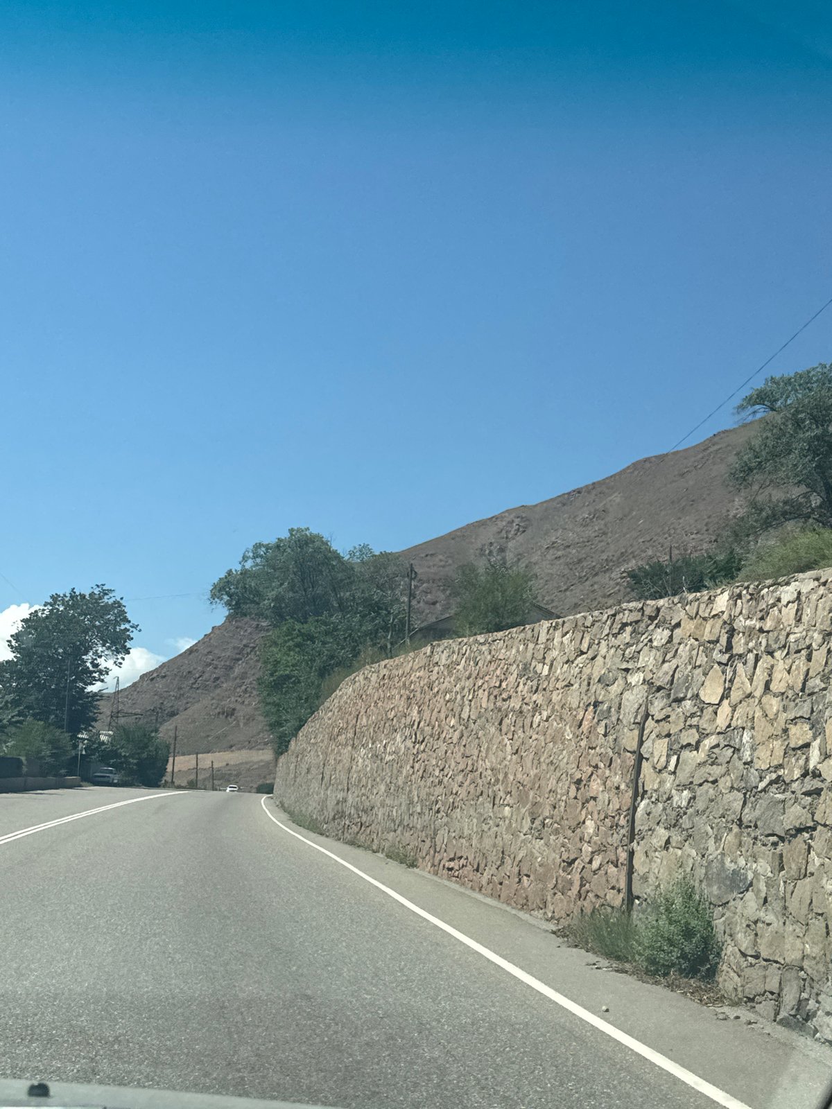 Mountain road and roadside details through Cholok, Kyrgyzstan
