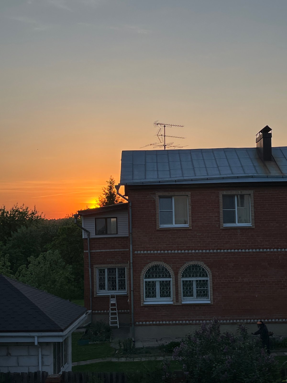 Urban scenes documented across unknown city during afternoon hours