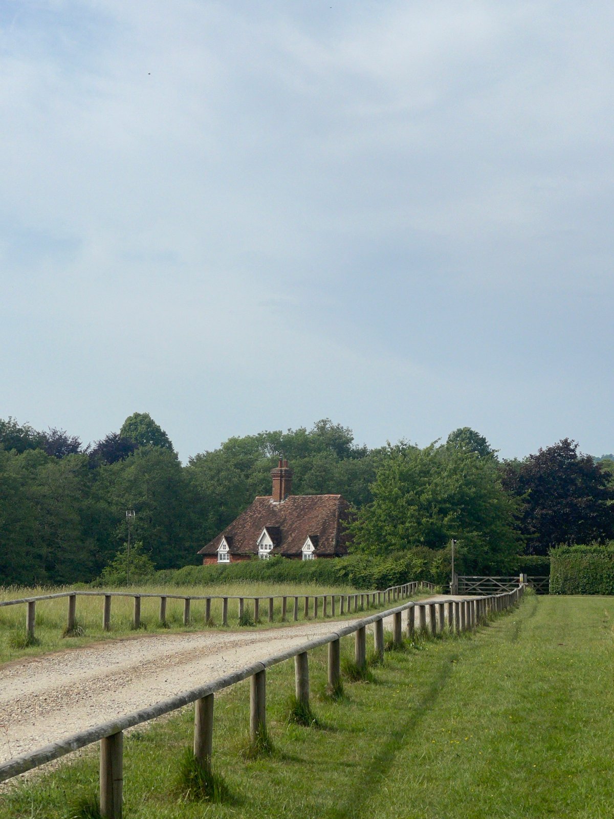 Nature walk documented in Maidstone countryside with wildlife sightings