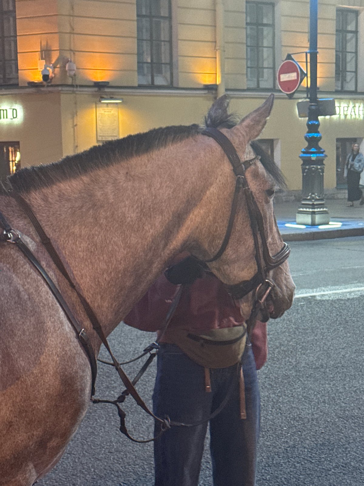 Evening scenes captured near Saint Isaac's Cathedral in Saint Petersburg