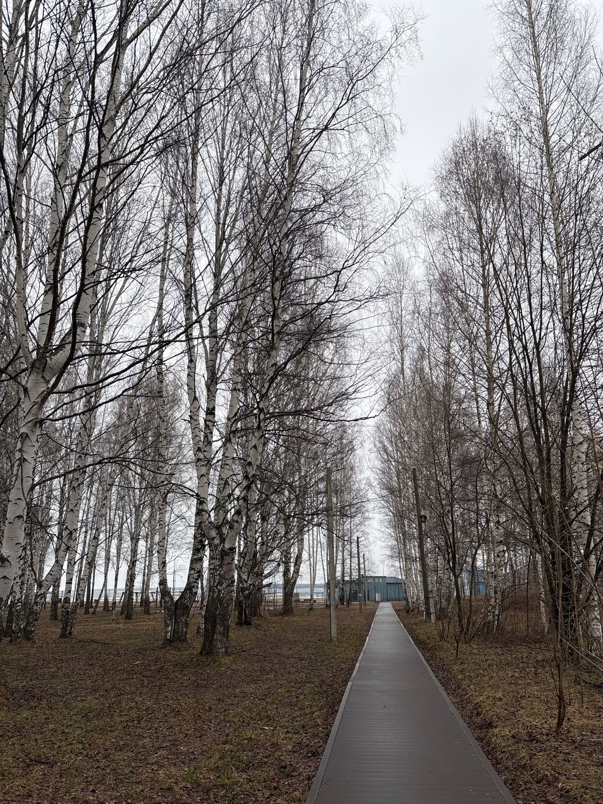 Spring scenes documented in Chaikovsky Russia waterfront and forests