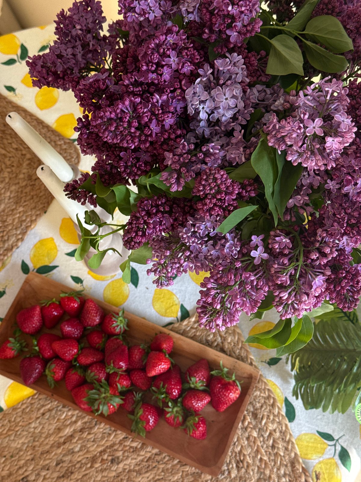Spring still life arrangement captured in Belgrade suburb