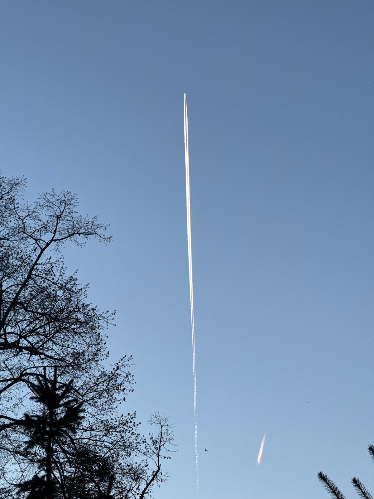 Spring afternoon scenes captured across Sofia parks and skies