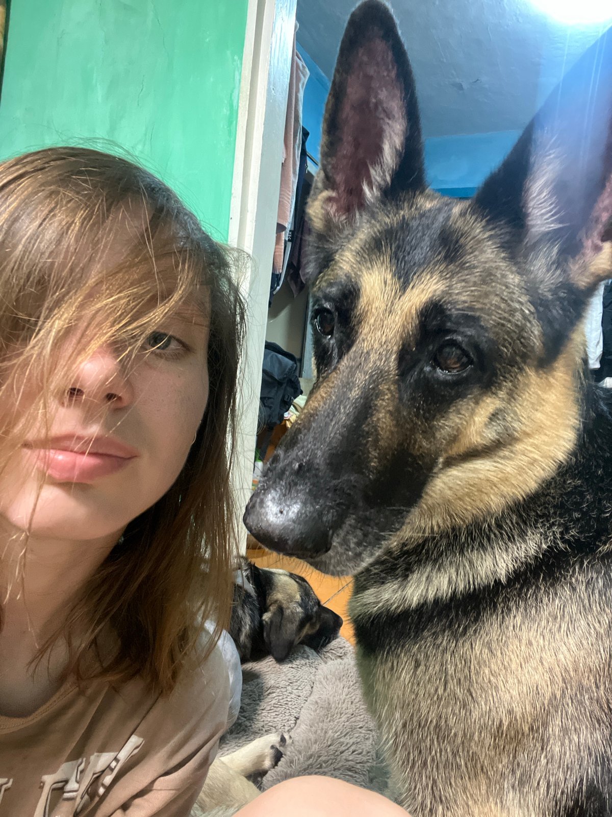 Pets lounging together in Russian home with selfies