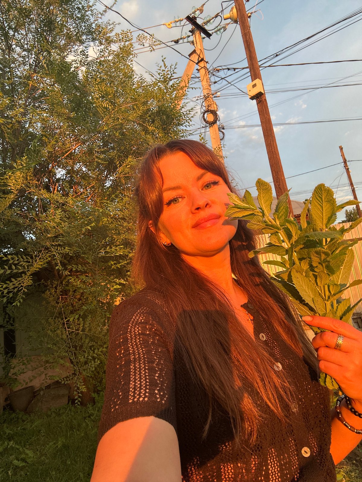 Golden hour in Chaikovsky: a dog, fresh herbs, and garden vibes