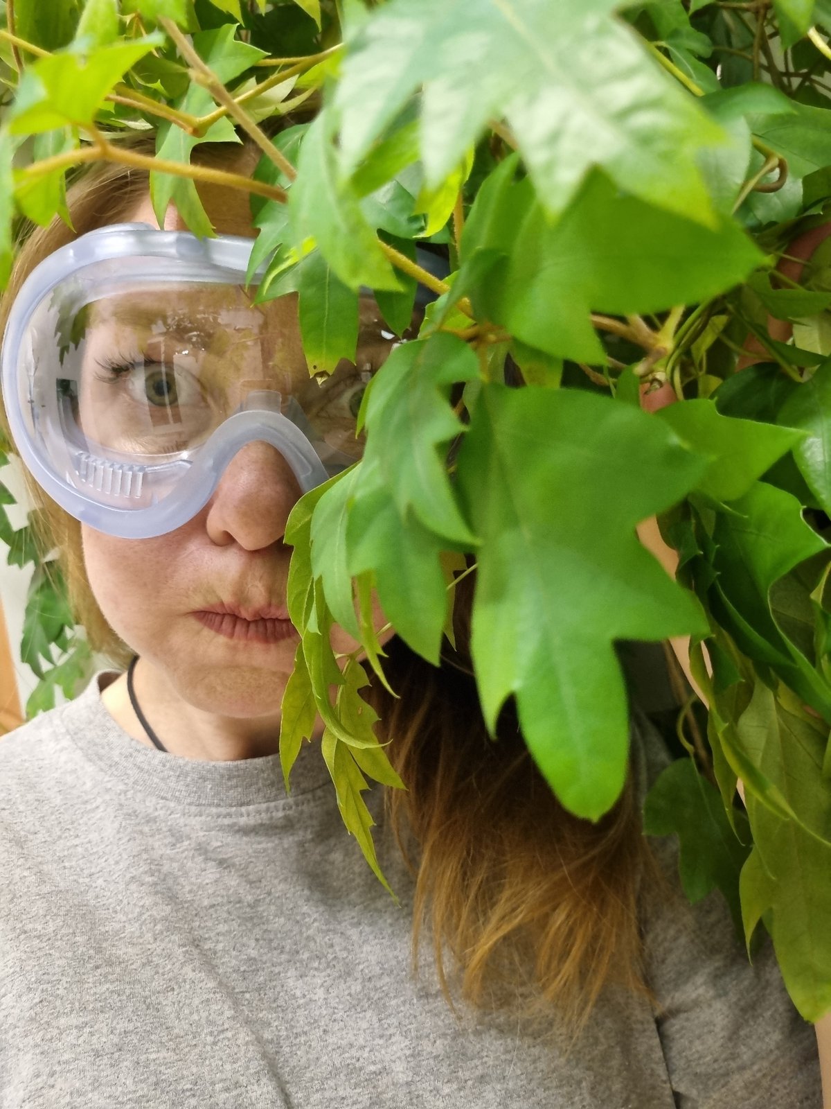 Person in safety gear observed indoors with plants in Kemul