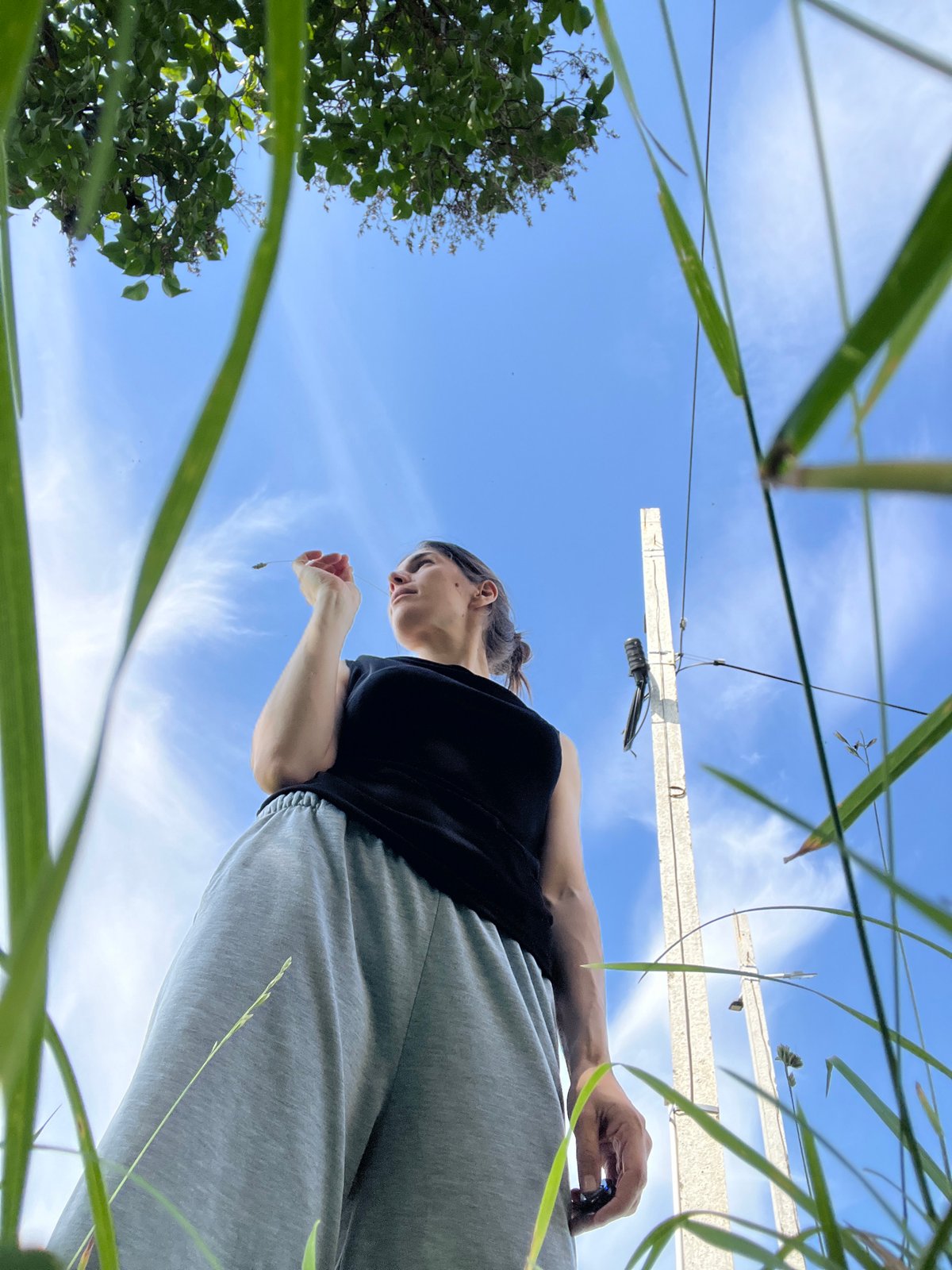 Lazy sunny morning by a park — nature, soccer, and a stuffed bear