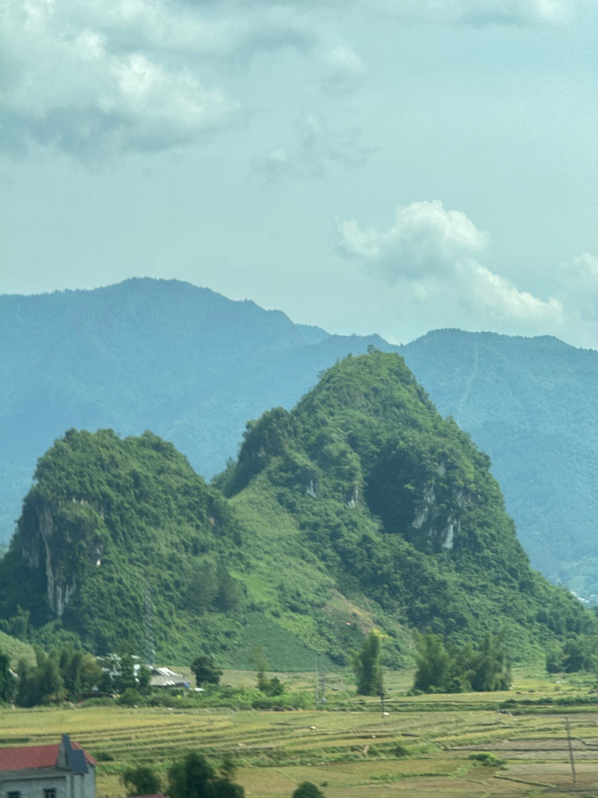 Rural livestock scenes documented across northern Vietnam districts