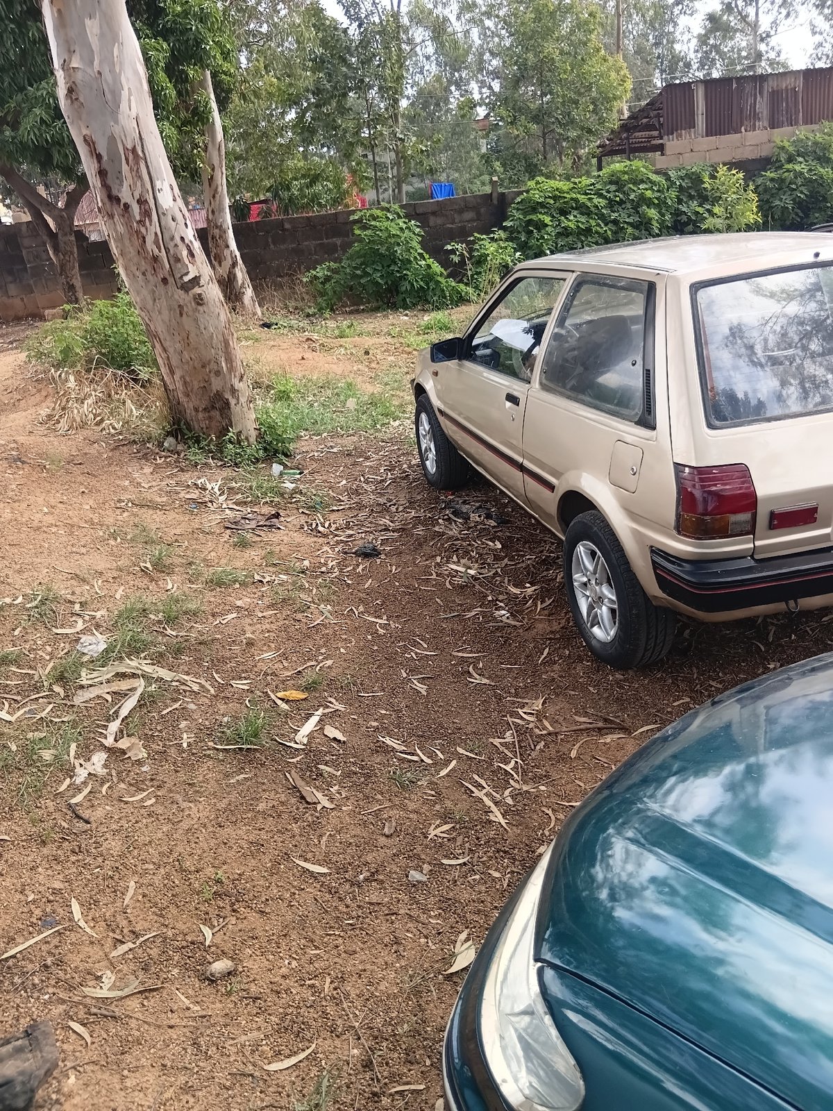 Damaged sedan documented in unpaved yard during morning hours