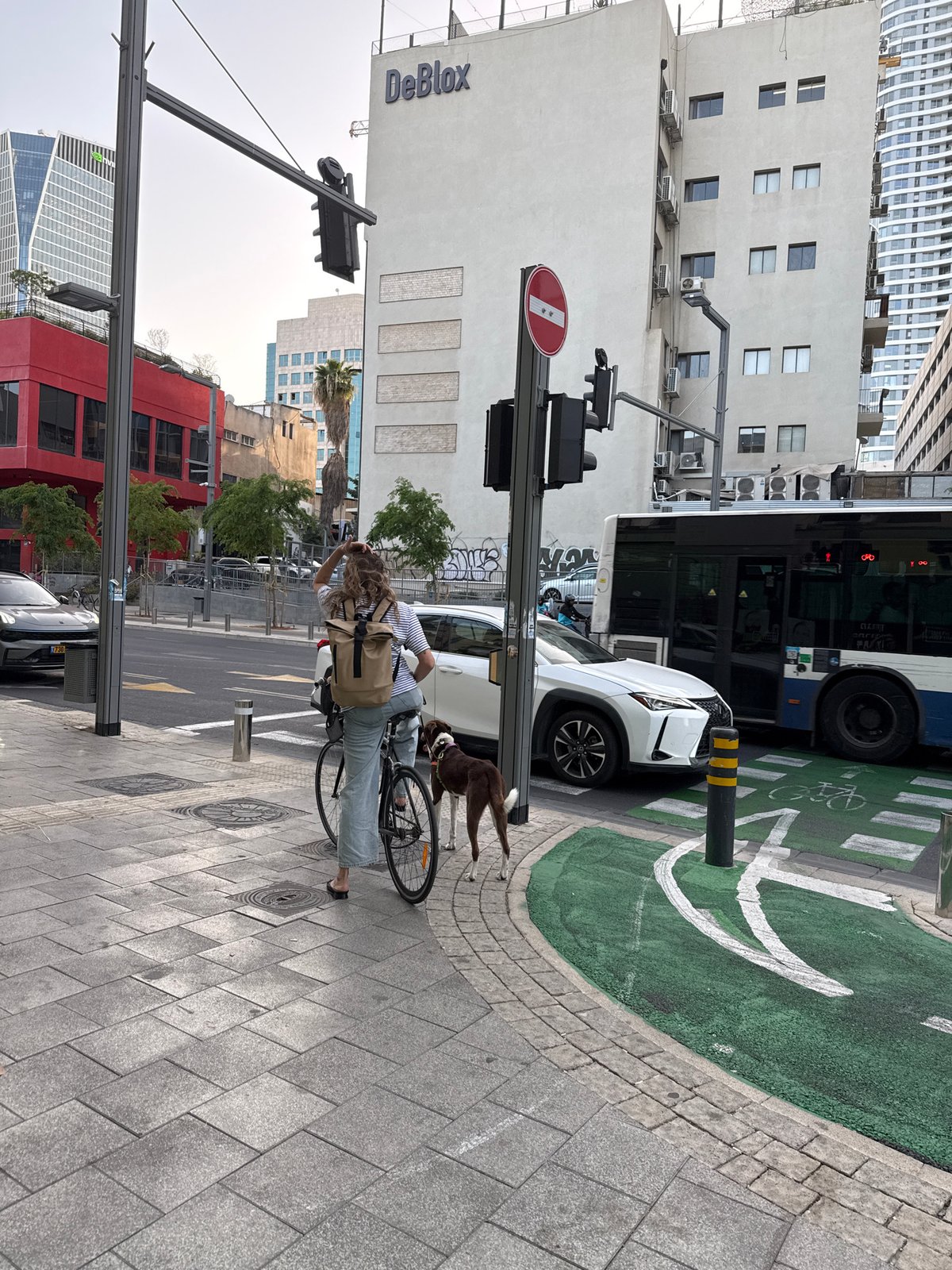 Person with bicycle and dog spotted on Tel Aviv sidewalk