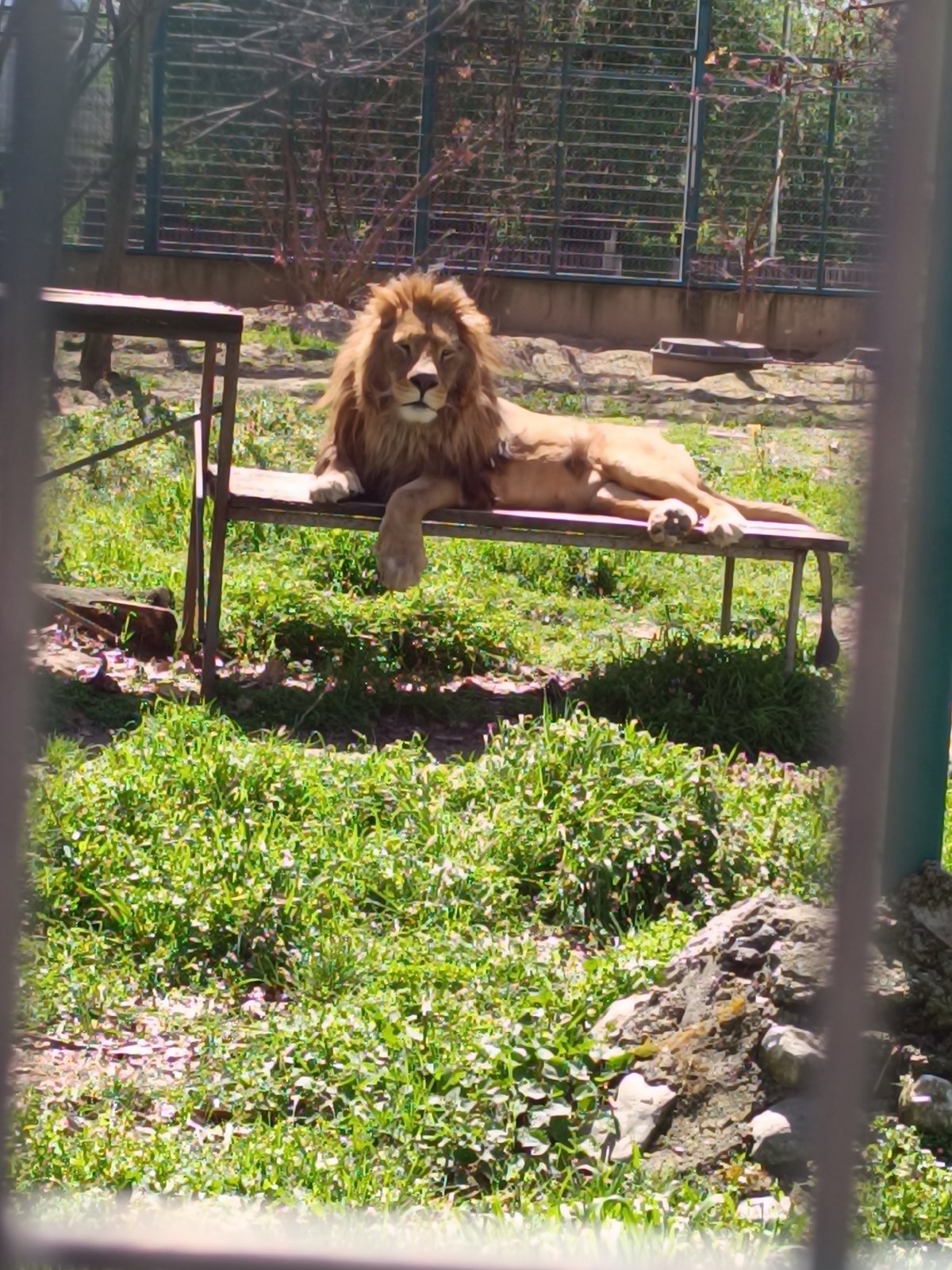 Animals spotted at wildlife facility during morning hours