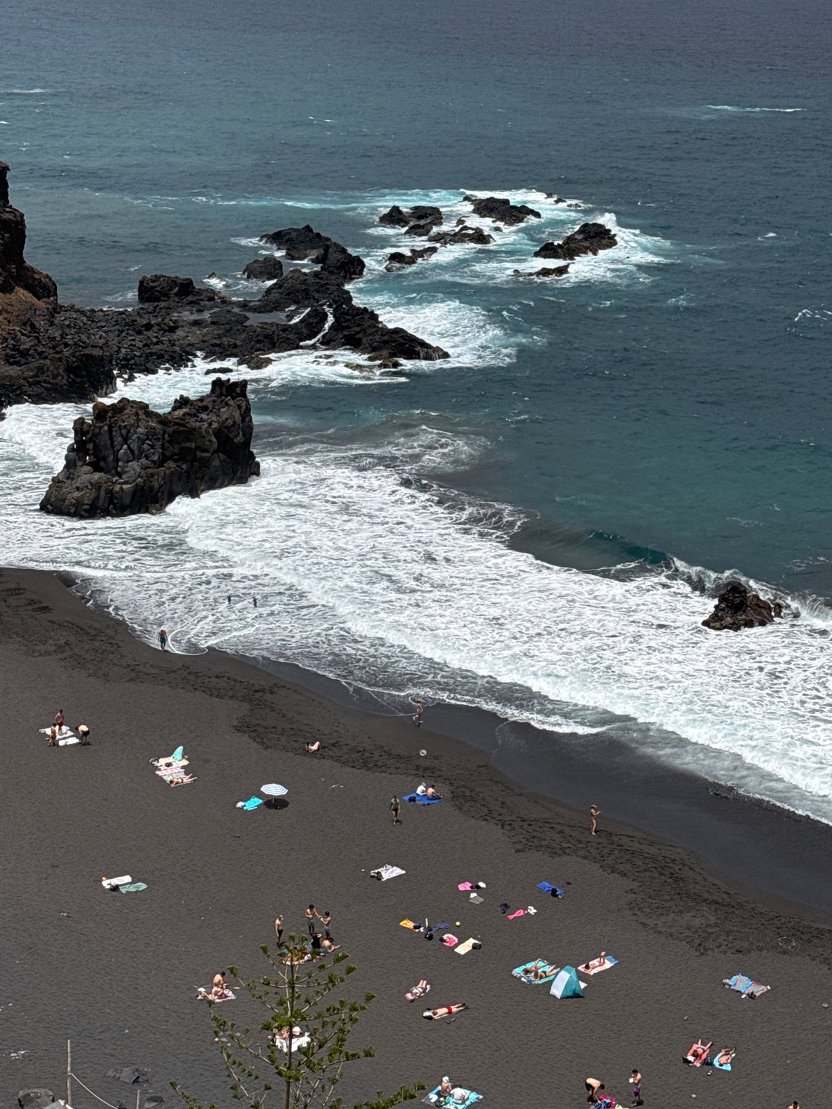 Black sand beach day: surf, sunbathers, and coastal lizards